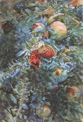 John Singer Sargent Pomegranates (mk18) china oil painting image